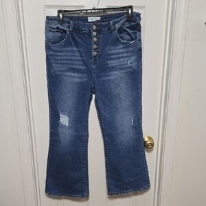 Risen Brand Stylish Indigo Flare Jeans